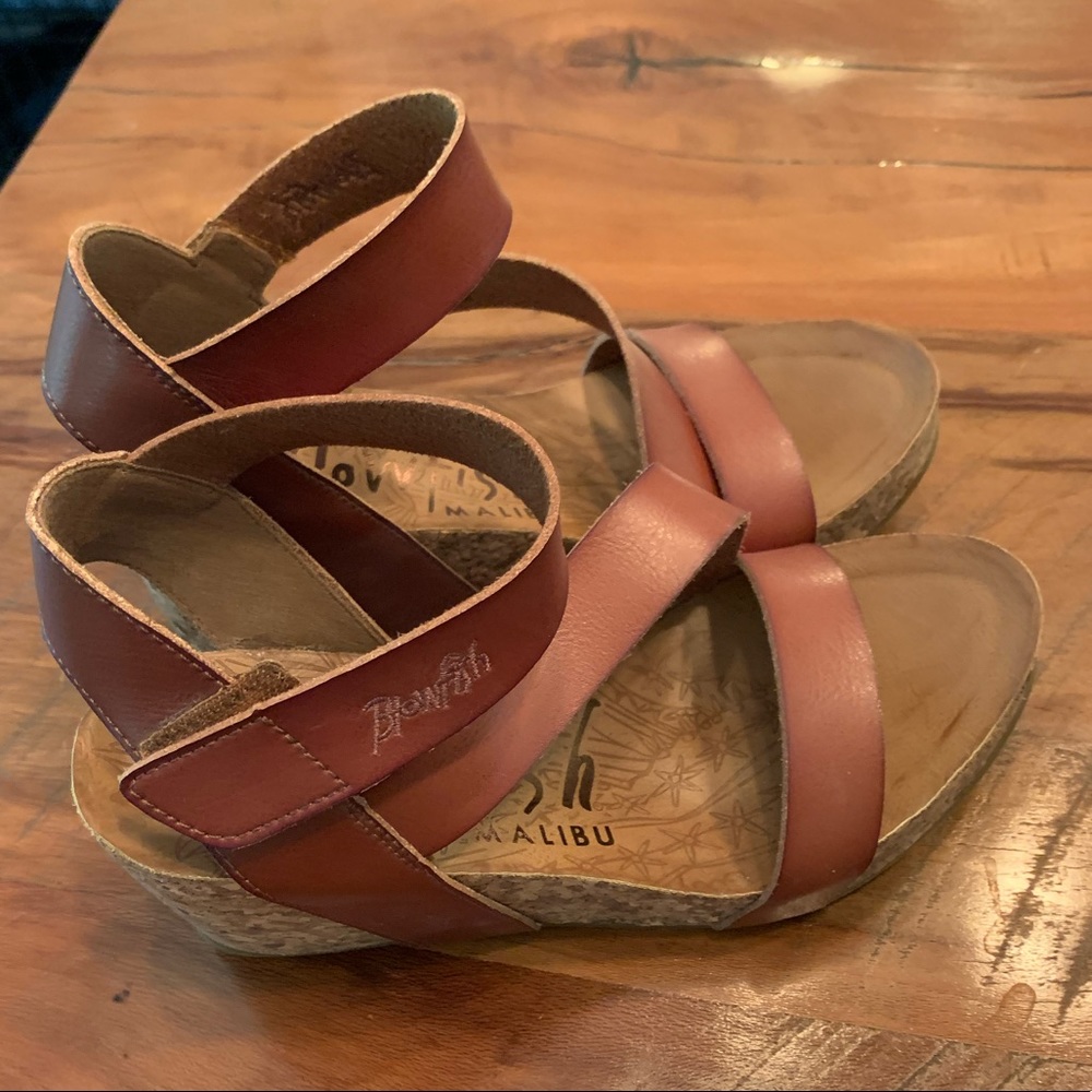 Blowfish Hapuku Wedges